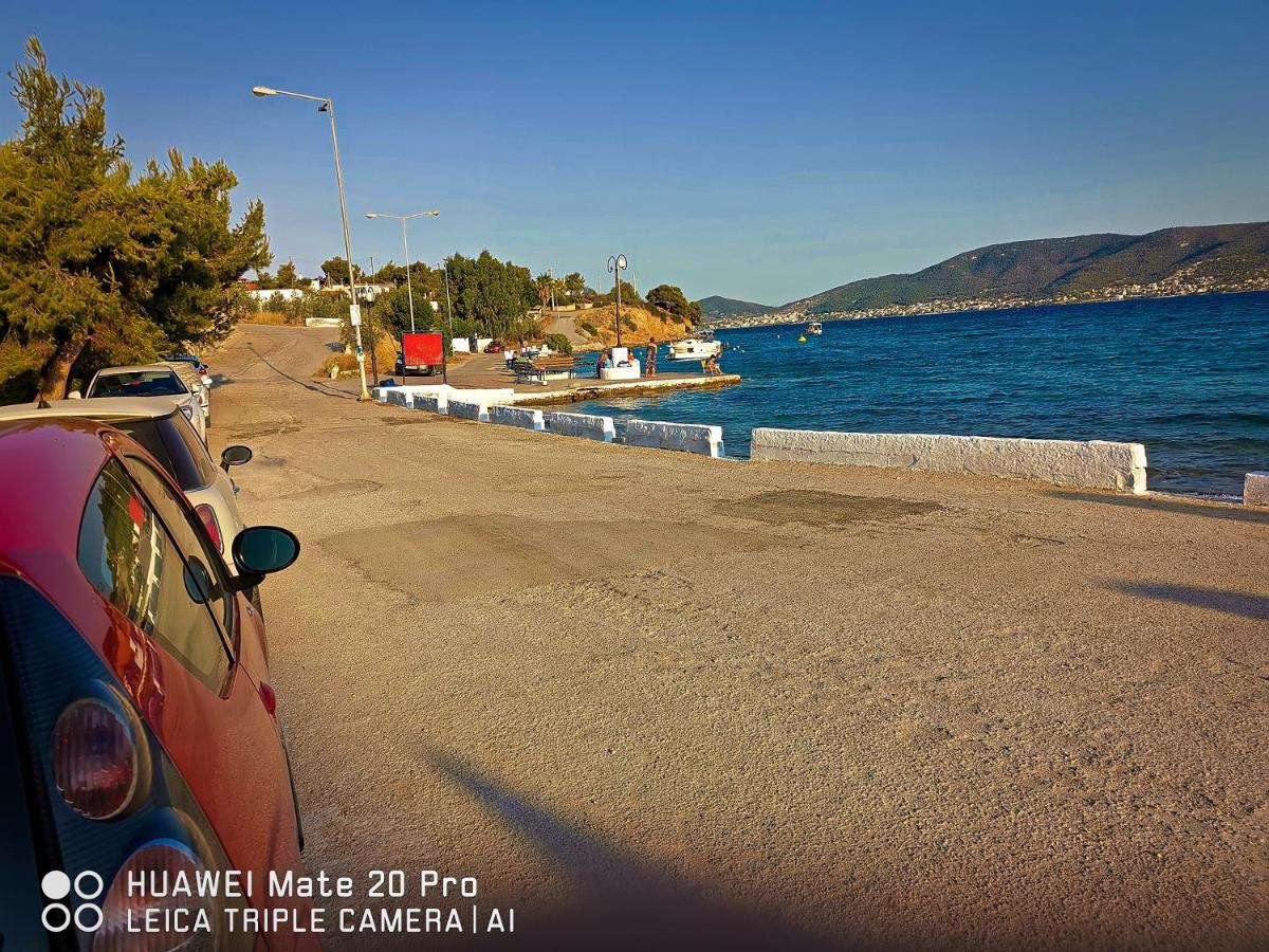 Apartament Ξένιος Ζευς Ηλιακτής. Χώρος Χαλάρωσης & Ξεκούρασης Agios Georgios  Zewnętrze zdjęcie